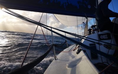 Convoyage Pepsi Max du 17 janvier 2021